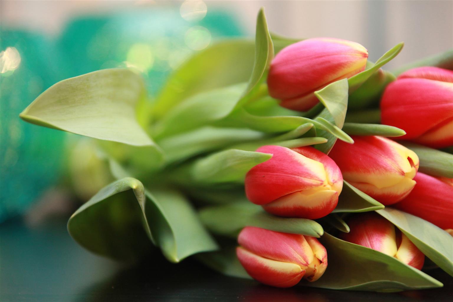 Maitrise Suites Apartment Hotel Ealing - לונדון מראה חיצוני תמונה